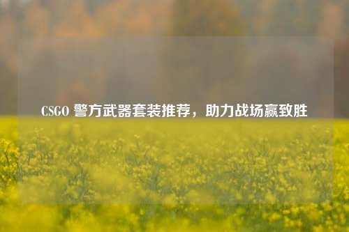 CSGO 警方武器套装推荐，助力战场赢致胜
