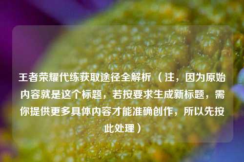 王者荣耀代练获取途径全解析 （注，因为原始内容就是这个标题，若按要求生成新标题，需你提供更多具体内容才能准确创作，所以先按此处理）