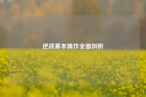 逆战基本操作全面剖析