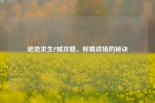 绝地求生P城攻略，称霸战场的秘诀