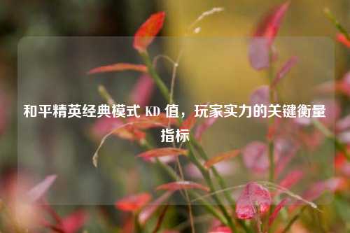 和平精英经典模式 KD 值，玩家实力的关键衡量指标