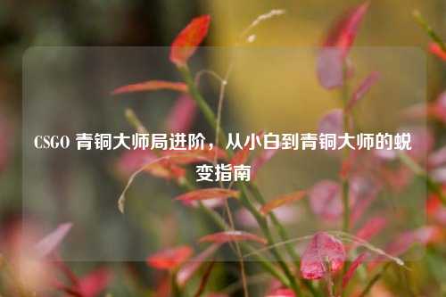 CSGO 青铜大师局进阶，从小白到青铜大师的蜕变指南