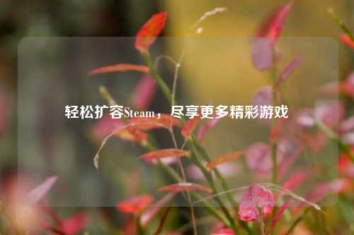 轻松扩容Steam，尽享更多精彩游戏