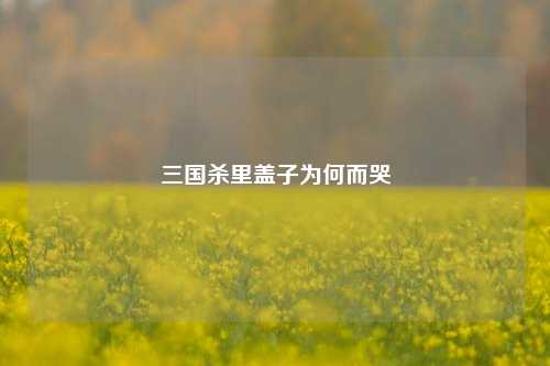 三国杀里盖子为何而哭