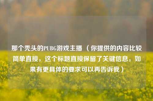 那个秃头的PUBG游戏主播 (你提供的内容比较简单直接,这个标题直接保留了关键信息,如果有更具体的要求可以再告诉我)