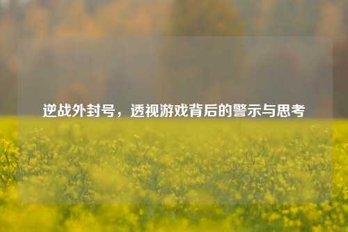 逆战外封号，透视游戏背后的警示与思考