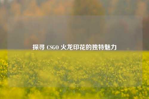 探寻 CSGO 火龙印花的独特魅力