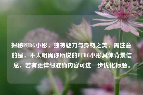 探秘PUBG小彤，独特魅力与身材之美，需注意的是，不太明确你所说的PUBG小彤具体背景信息，若有更详细准确内容可进一步优化标题。