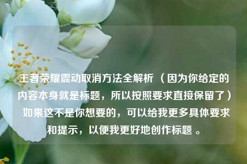 王者荣耀震动取消方法全解析 (因为你给定的内容本身就是标题,所以按照要求直接保留了) 如果这不是你想要的,可以给我更多具体要求和提示,以便我更好地创作标题 。