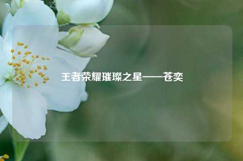 王者荣耀璀璨之星——苍奕