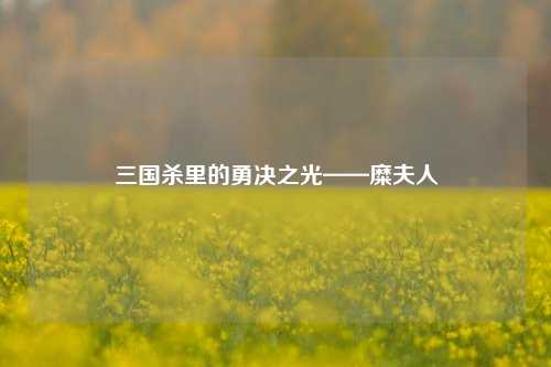 三国杀里的勇决之光——糜夫人