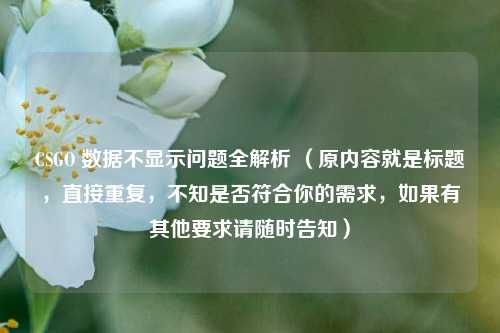 CSGO 数据不显示问题全解析 （原内容就是标题，直接重复，不知是否符合你的需求，如果有其他要求请随时告知）