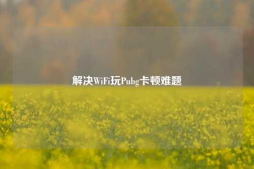 解决WiFi玩Pubg卡顿难题