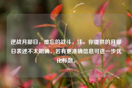 逆战月郧日，难忘的战斗，注，你提供的月郧日表述不太明确，若有更准确信息可进一步优化标题。