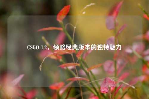 CSGO 1.2,领略经典版本的独特魅力