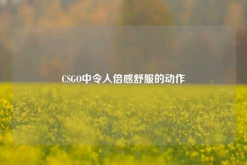 CSGO中令人倍感舒服的动作