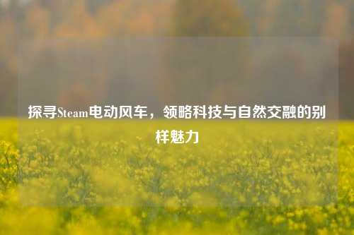 探寻Steam电动风车，领略科技与自然交融的别样魅力