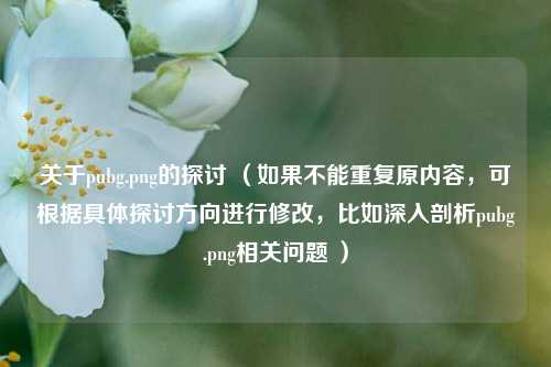 关于pubg.png的探讨 (如果不能重复原内容,可根据具体探讨方向进行修改,比如深入剖析pubg.png相关问题 )