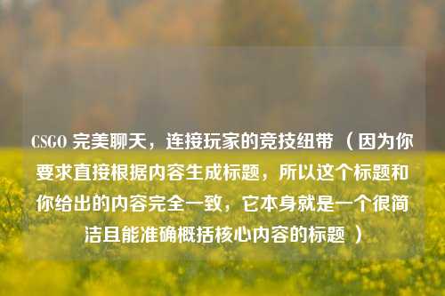 CSGO 完美聊天,连接玩家的竞技纽带 (因为你要求直接根据内容生成标题,所以这个标题和你给出的内容完全一致,它本身就是一个很简洁且能准确概括核心内容的标题 )