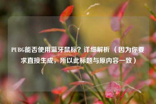 PUBG能否使用蓝牙鼠标？详细解析 （因为你要求直接生成，所以此标题与原内容一致）