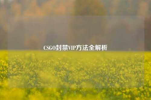 CSGO封禁VIP方法全解析