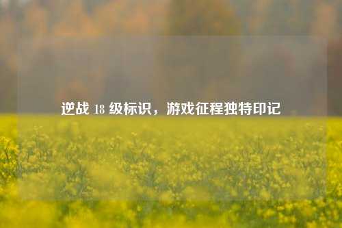 逆战 18 级标识，游戏征程独特印记