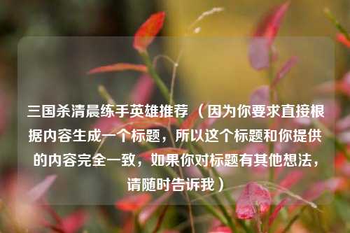 三国杀清晨练手英雄推荐 （因为你要求直接根据内容生成一个标题，所以这个标题和你提供的内容完全一致，如果你对标题有其他想法，请随时告诉我）