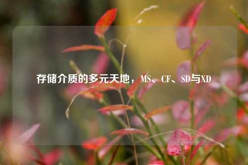 存储介质的多元天地，MS、CF、SD与XD