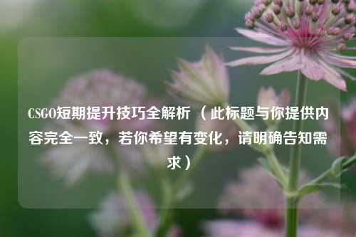 CSGO短期提升技巧全解析 (此标题与你提供内容完全一致,若你希望有变化,请明确告知需求)