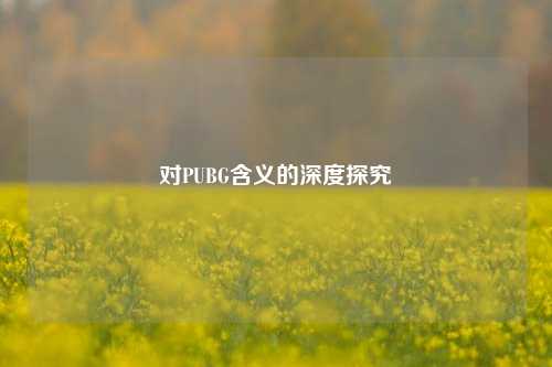 对PUBG含义的深度探究