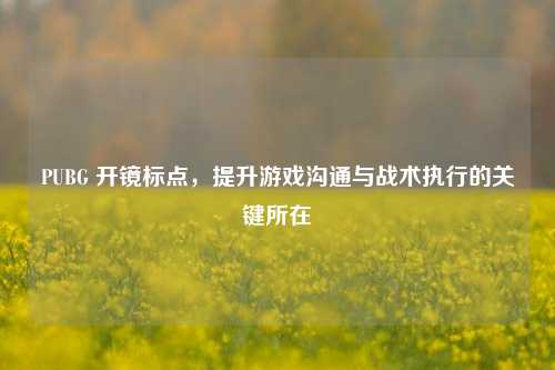 PUBG 开镜标点，提升游戏沟通与战术执行的关键所在