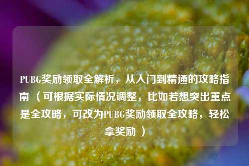 PUBG奖励领取全解析，从入门到精通的攻略指南 （可根据实际情况调整，比如若想突出重点是全攻略，可改为PUBG奖励领取全攻略，轻松拿奖励 ）