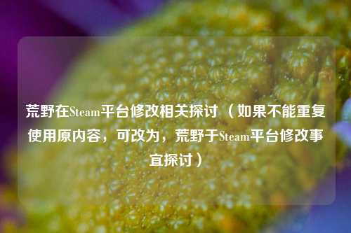 荒野在Steam平台修改相关探讨 (如果不能重复使用原内容,可改为,荒野于Steam平台修改事宜探讨)
