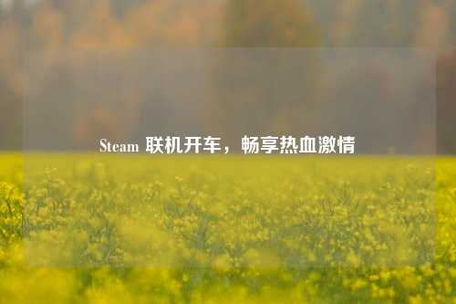 Steam 联机开车,畅享热血激情