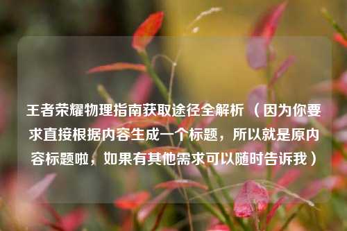 王者荣耀物理指南获取途径全解析 （因为你要求直接根据内容生成一个标题，所以就是原内容标题啦，如果有其他需求可以随时告诉我）