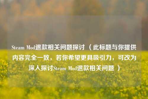 Steam Mod退款相关问题探讨 （此标题与你提供内容完全一致，若你希望更具吸引力，可改为深入探讨Steam Mod退款相关问题 ）