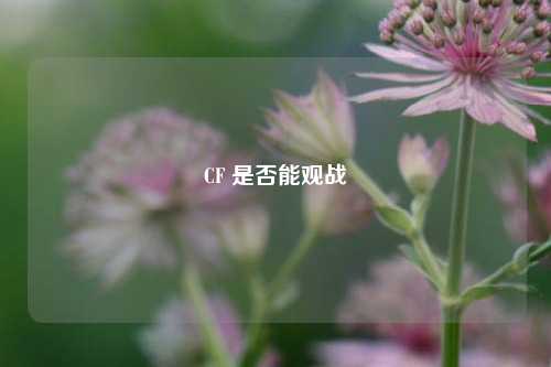 CF 是否能观战