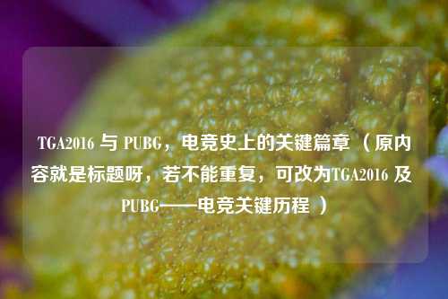 TGA2016 与 PUBG,电竞史上的关键篇章 (原内容就是标题呀,若不能重复,可改为TGA2016 及 PUBG——电竞关键历程 )