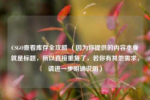 CSGO查看库存全攻略 （因为你提供的内容本身就是标题，所以直接重复了，若你有其他需求，请进一步明确说明）
