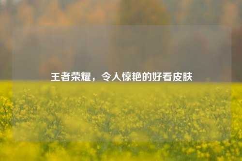 王者荣耀,令人惊艳的好看皮肤