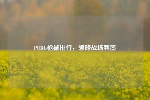 PUBG枪械排行，领略战场利器