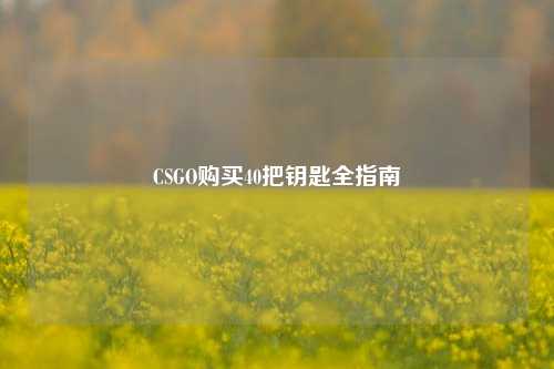 CSGO购买40把钥匙全指南