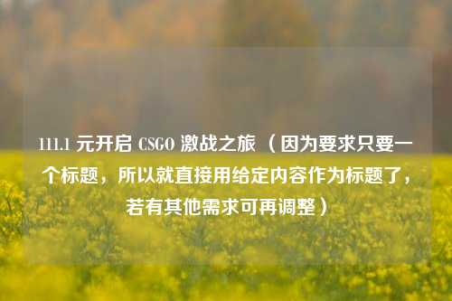 111.1 元开启 CSGO 激战之旅 （因为要求只要一个标题，所以就直接用给定内容作为标题了，若有其他需求可再调整）