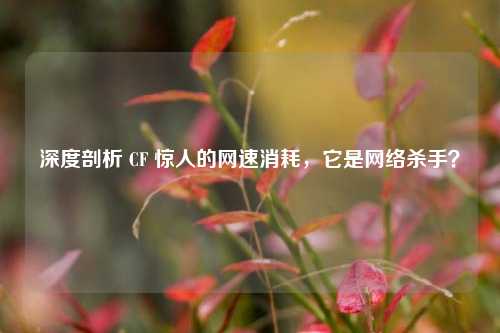 深度剖析 CF 惊人的网速消耗,它是网络杀手?