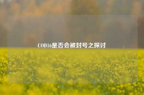 COD16是否会被封号之探讨