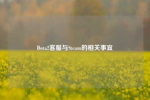 Dota2客服与Steam的相关事宜