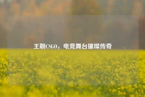 王朝CSGO,电竞舞台璀璨传奇