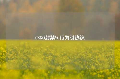 CSGO封禁VC行为引热议