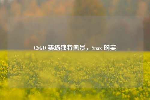 CSGO 赛场独特风景，Snax 的笑