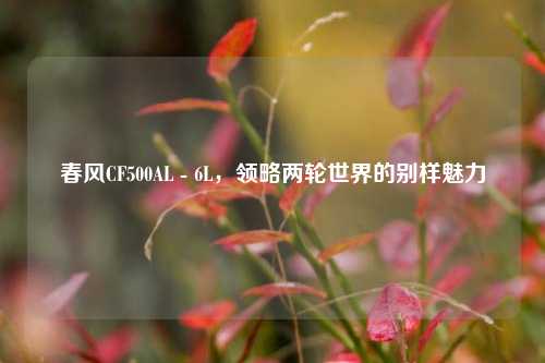 春风CF500AL - 6L，领略两轮世界的别样魅力
